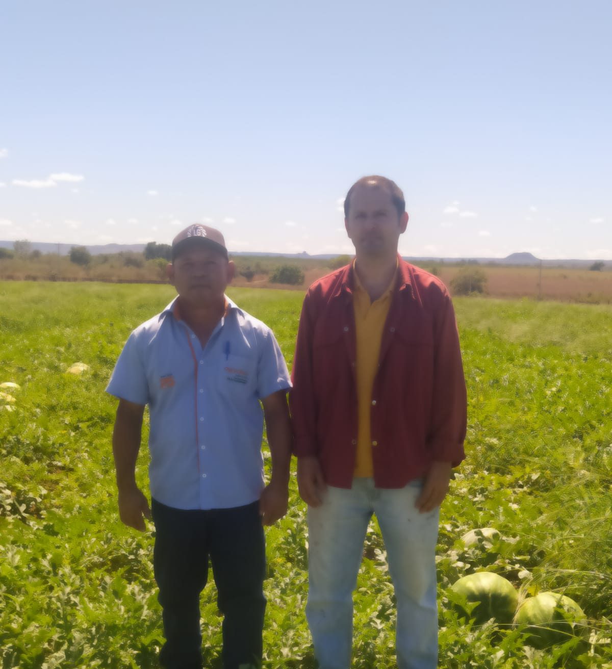 Consultor da Renovar ao lado do produtor na lavoura
