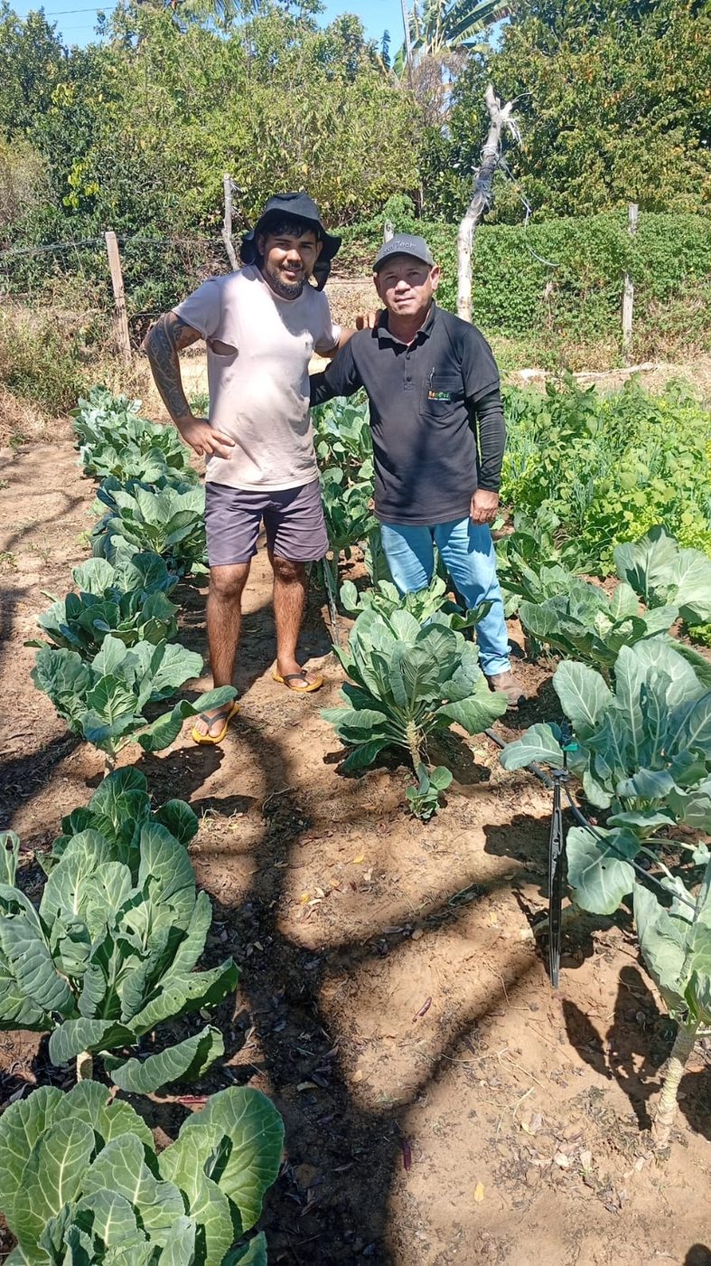 Visita técnica à lavoura do produtor