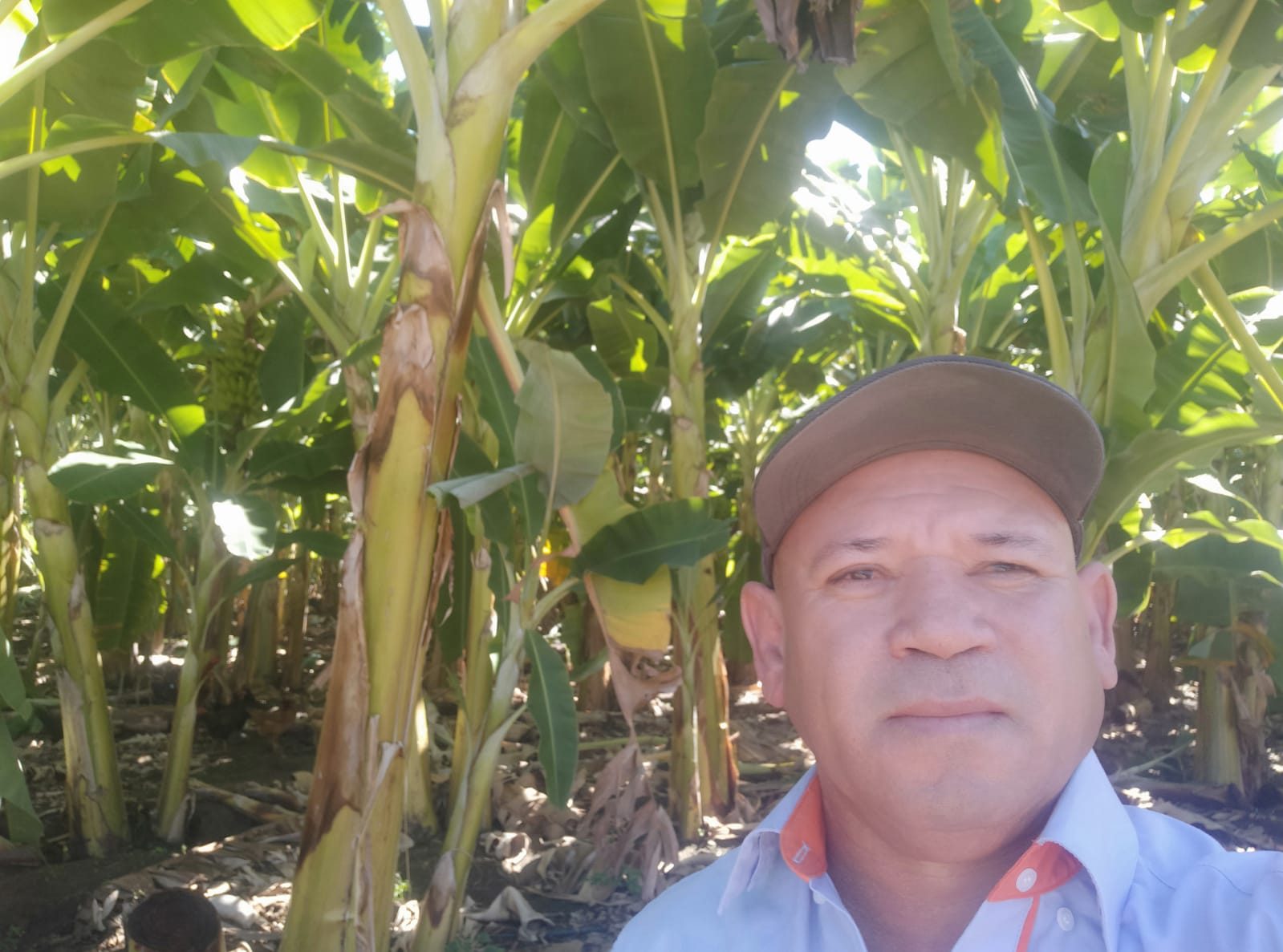 Visita tecnica na lavoura